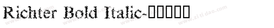 Richter Bold Italic字体转换